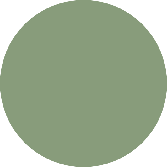 Simple olive green circle on a transparent background.