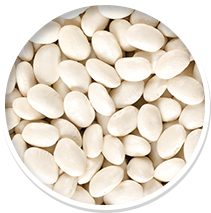 White pumpkin seeds in a circular frame.