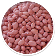 Bowl of raw kidney beans on a white background.