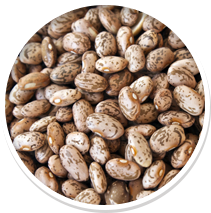 Close-up of speckled pinto beans in a circular frame.